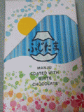 201306251